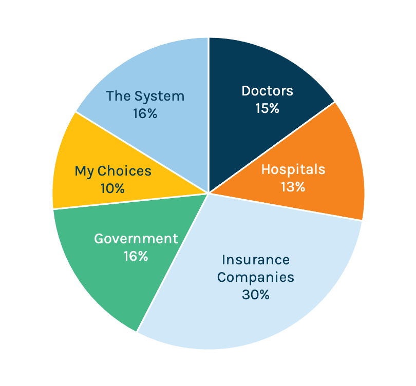 Pie chart showing 12% "The System," 15% "Doctors," 13% "Hospitals," 30% "Insurance Companies," 16% "Government," and 10% "My Choices"