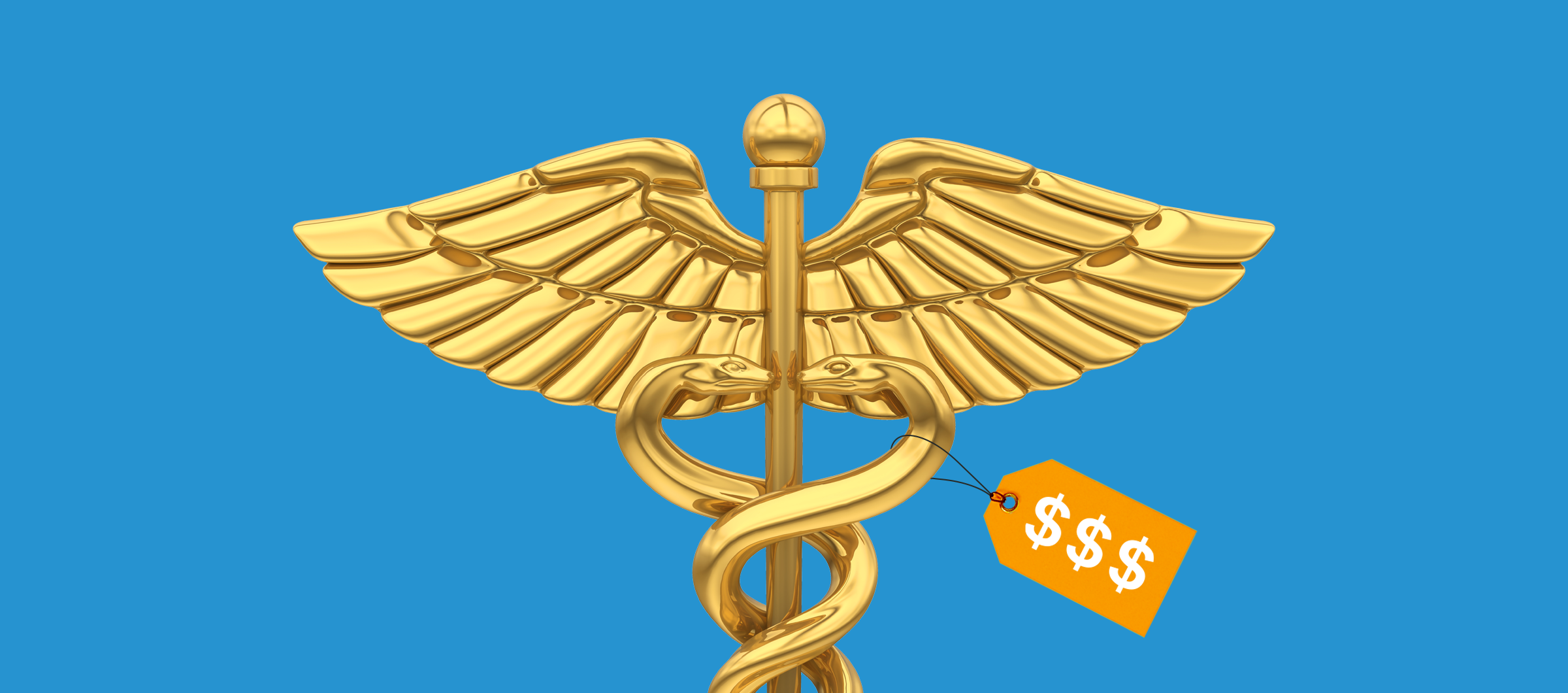 The High Cost of the High Cost of Care
